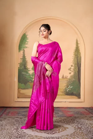 Banarasi Raw Silk Saree