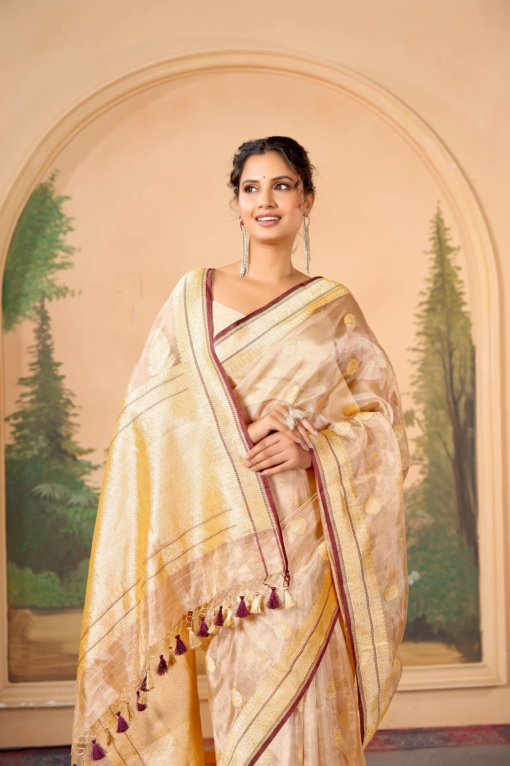 Pure Kora Tissue Banarasi Saree - Image 2